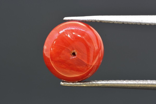 4.25 cts Natural Coral (Moonga)