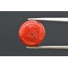 4.25 cts Natural Coral (Moonga)