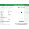 C Dunaigre Switzerland Report for 3.99 cts Natural Emerald - Colombia (Panna)