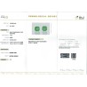 IIGJ Research & Laboratories | GJEPC Report for 4.1 cts Natural Emerald (Panna) - Earring Pair