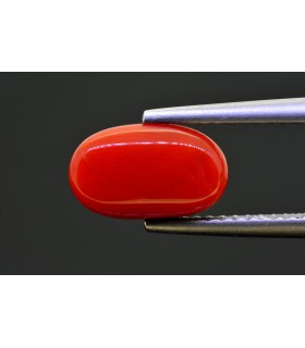 2.86 cts Natural Coral - Moonga (SKU:90154324)