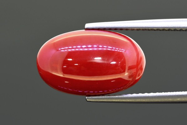 8.98 cts Natural Coral (Moonga)