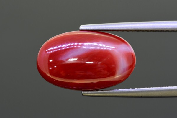 8.98 cts Natural Coral (Moonga)