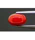 2.98 cts Natural Coral (Moonga)