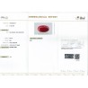 IIGJ Research & Laboratories | GJEPC Report for 8.98 cts Natural Coral (Moonga)
