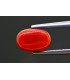 2.98 cts Natural Coral - Moonga (SKU:90154379)
