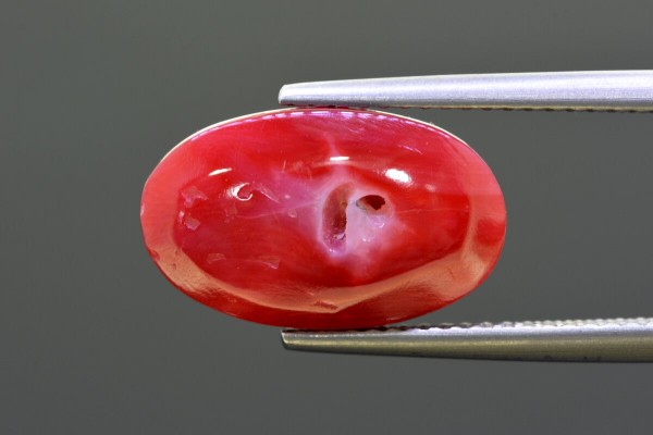 6.95 cts Natural Coral (Moonga)