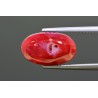 6.95 cts Natural Coral (Moonga)