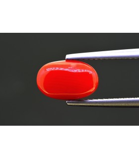 2.46 cts Natural Coral - Moonga (SKU:90154386)