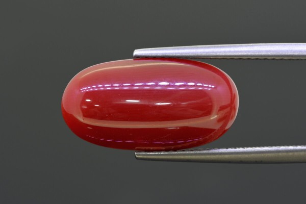 8.97 cts Natural Coral (Moonga)