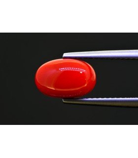 2.88 cts Natural Coral (Moonga)