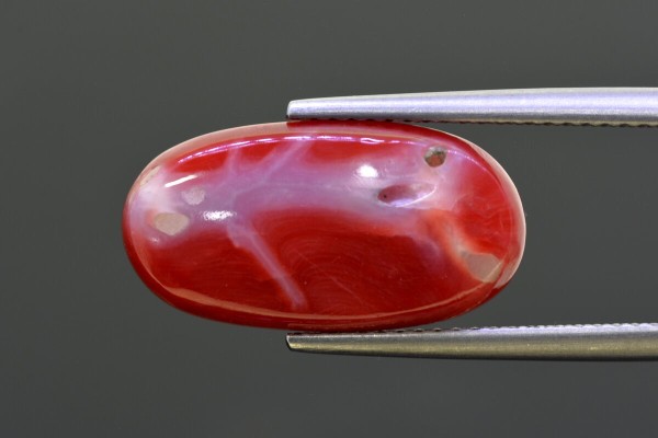8.97 cts Natural Coral (Moonga)