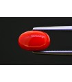 2.88 cts Natural Coral (Moonga)