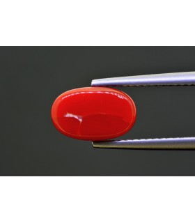 2.88 cts Natural Coral - Moonga (SKU:90154416)