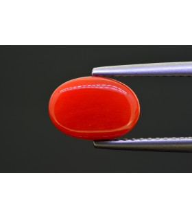 2.85 cts Natural Coral - Moonga (SKU:90154423)