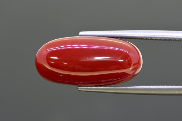 10.7 cts Natural Coral (Moonga)