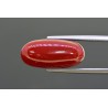 10.7 cts Natural Coral (Moonga)