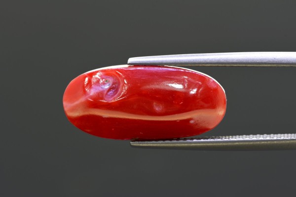 10.7 cts Natural Coral (Moonga)