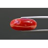10.7 cts Natural Coral (Moonga)