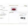 IIGJ Research & Laboratories | GJEPC Report for 10.7 cts Natural Coral (Moonga)