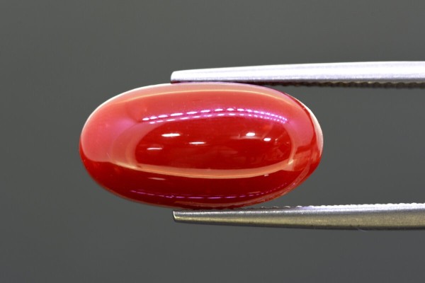 7.99 cts Natural Coral (Moonga)