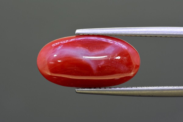 7.99 cts Natural Coral (Moonga)