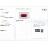 IIGJ Research & Laboratories | GJEPC Report for 7.99 cts Natural Coral (Moonga)