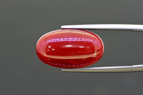 9.94 cts Natural Coral (Moonga)