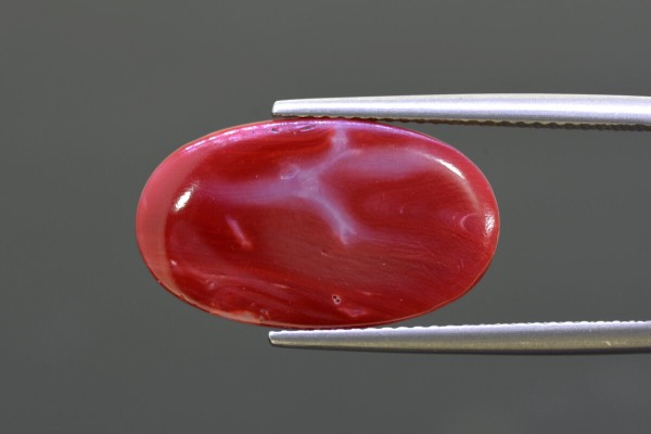 9.94 cts Natural Coral (Moonga)