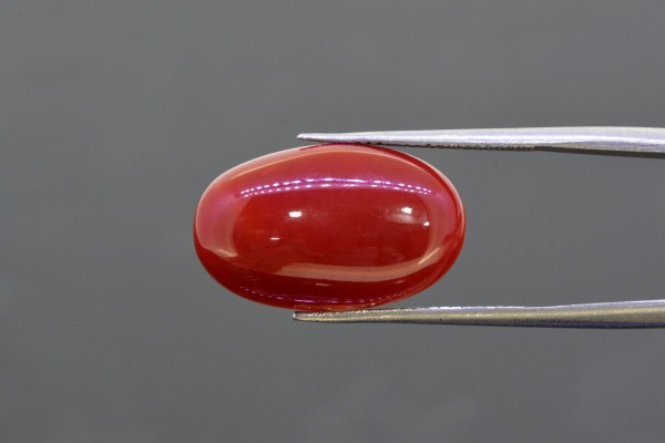 10.63 cts Natural Coral (Moonga)