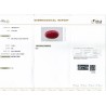 IIGJ Research & Laboratories | GJEPC Report for 10.63 cts Natural Coral (Moonga)