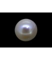 3.89 cts Cultured Pearl (Moti)