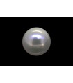 3.78 cts Cultured Pearl (Moti)