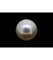 4.97 cts Cultured Pearl (Moti)