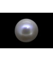 5 cts Cultured Pearl (Moti)