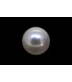 5.36 cts Cultured Pearl (Moti)