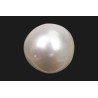 7.71 cts Cultured Pearl (Moti)