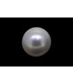 5.14 cts Cultured Pearl (Moti)