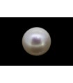 9.25 cts Cultured Pearl (Moti)