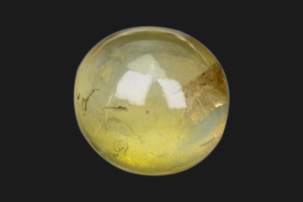 3.12 cts Natural Cats Eye (Lehsunia)