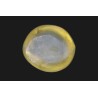 3.12 cts Natural Cats Eye (Lehsunia)
