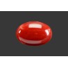 16.06 cts Natural Coral (Moonga)