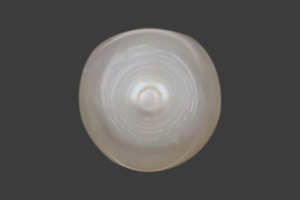 1.14 cts Natural Pearl (Moti)