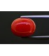 8.51 cts Natural Coral (Moonga)