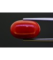 10.63 cts Natural Coral (Moonga)