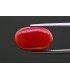 10.63 cts Natural Coral - Moonga (SKU:90156281)
