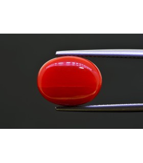 8.45 cts Natural Coral - Moonga (SKU:90156304)