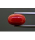 7.17 cts Natural Coral (Moonga)