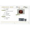 IIGJ Research & Laboratories | GJEPC Report for 10.48 cts Natural Hessonite Garnet (Gomedh)