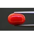 7.23 cts Natural Coral (Moonga)
